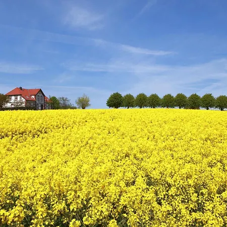 Gollwitzer Park - Insel Poel-8 By Interhome Appartamento *