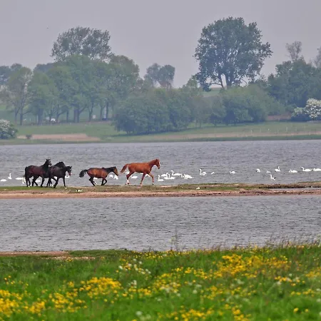 Gollwitzer Park - Insel Poel-8 By Interhome *