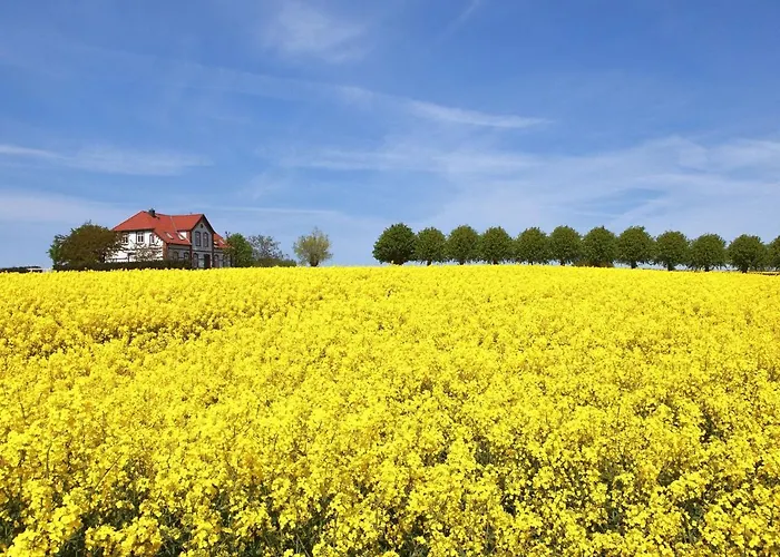 Gollwitzer Park - Insel Poel-8 By Interhome Apartment *