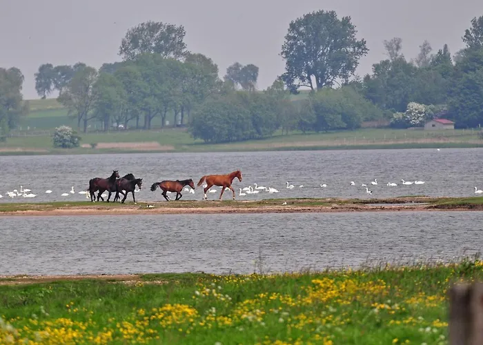 Gollwitzer Park - Insel Poel-8 By Interhome *